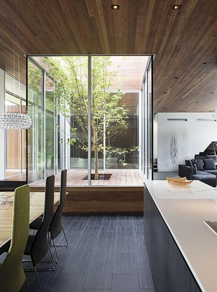 Illustration de l'article : Vous r&ecirc;viez d'avoir un arbre chez vous ? Cette s&eacute;lection est pour vous !