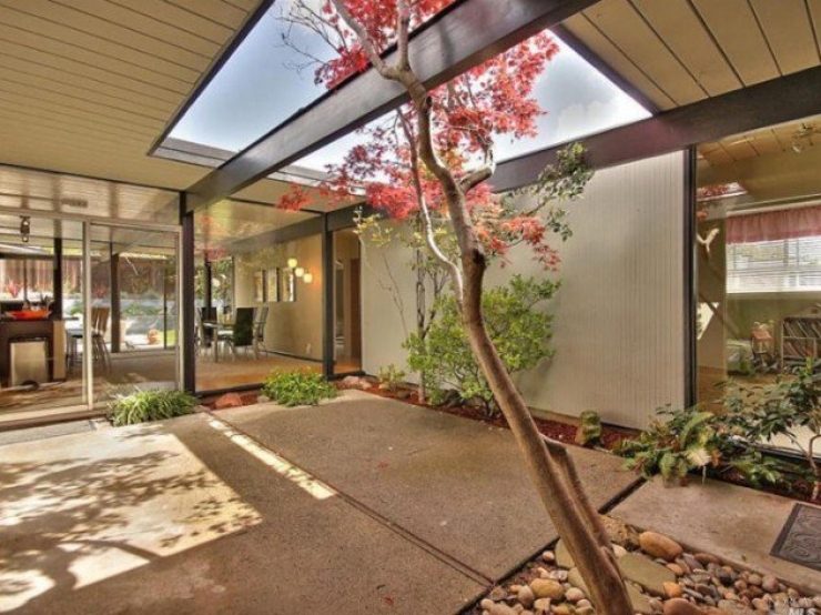 Illustration de l'article : Vous r&ecirc;viez d'avoir un arbre chez vous ? Cette s&eacute;lection est pour vous !