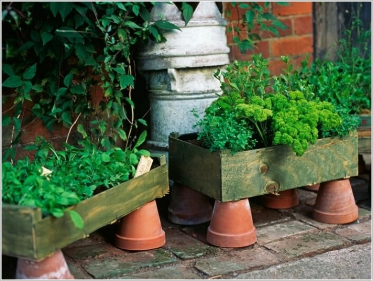 Illustration de l'article : Des petits jardins d'intérieur super mignons... Trouvez votre inspiration à travers ces 31 clichés !