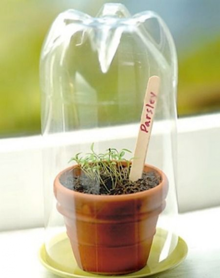 Illustration de l'article : Des petits jardins d'intérieur super mignons... Trouvez votre inspiration à travers ces 31 clichés !