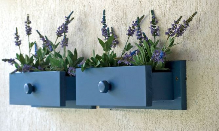 Illustration de l'article : Des petits jardins d'intérieur super mignons... Trouvez votre inspiration à travers ces 31 clichés !