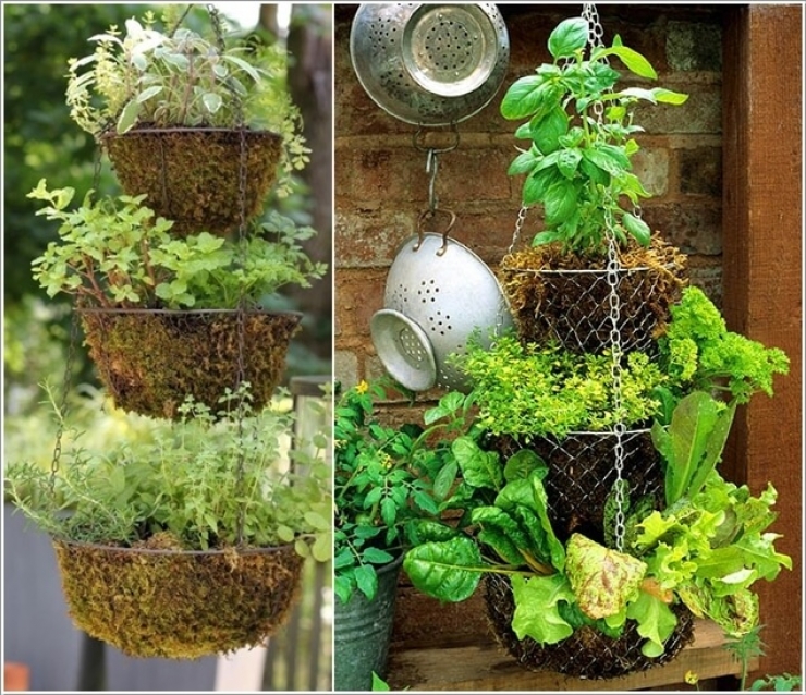 Illustration de l'article : Des petits jardins d'intérieur super mignons... Trouvez votre inspiration à travers ces 31 clichés !