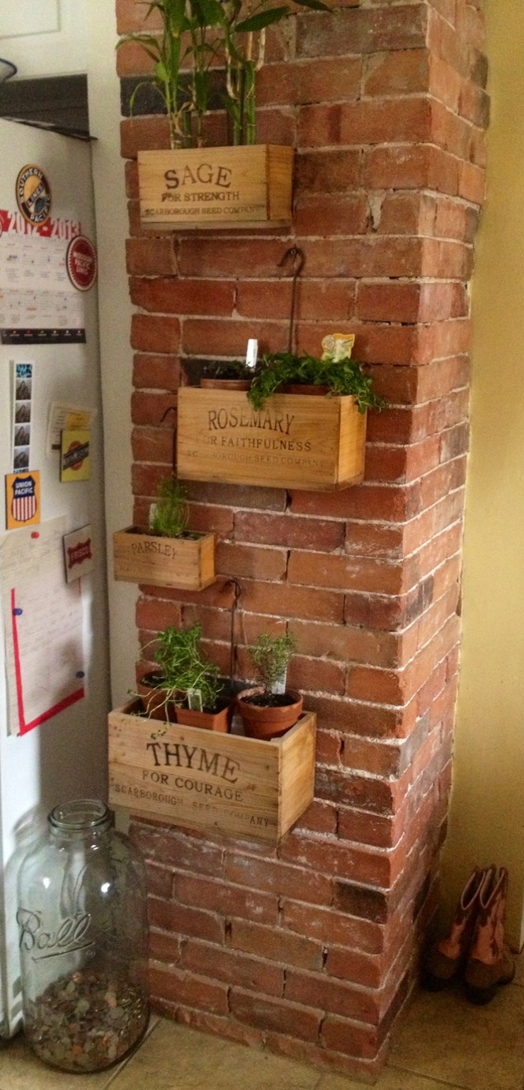 Illustration de l'article : Des petits jardins d'intérieur super mignons... Trouvez votre inspiration à travers ces 31 clichés !