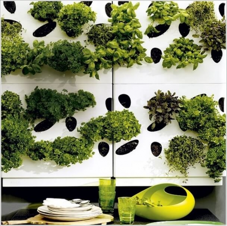 Illustration de l'article : Des petits jardins d'intérieur super mignons... Trouvez votre inspiration à travers ces 31 clichés !