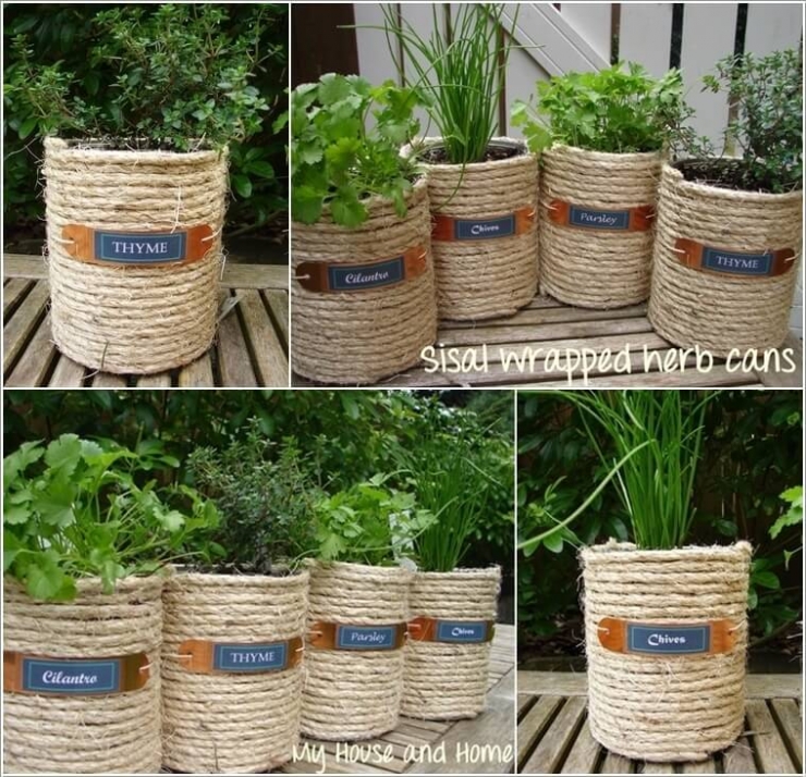 Illustration de l'article : Des petits jardins d'intérieur super mignons... Trouvez votre inspiration à travers ces 31 clichés !