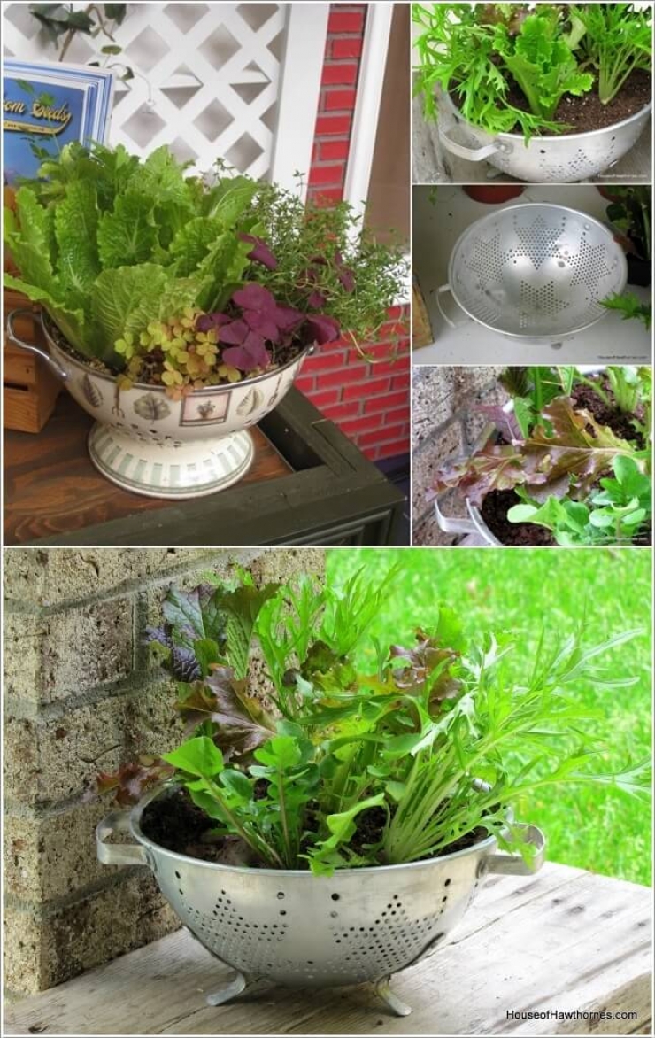 Illustration de l'article : Des petits jardins d'intérieur super mignons... Trouvez votre inspiration à travers ces 31 clichés !