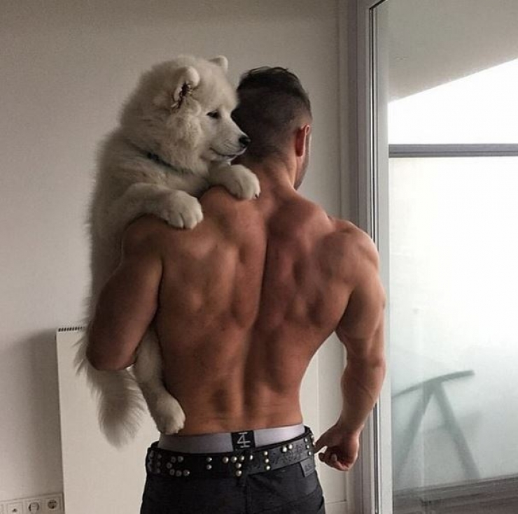 Illustration de l'article : Hot Dudes With Dogs, le compte instagram des beaux mecs qui posent avec leurs chiens !