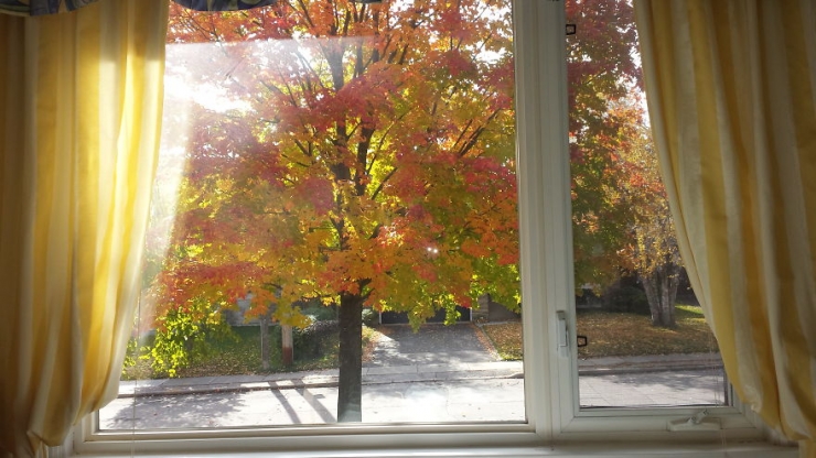 Illustration de l'article : Top 40 des maisons, appartements et hôtels avec les plus belles vues du monde...