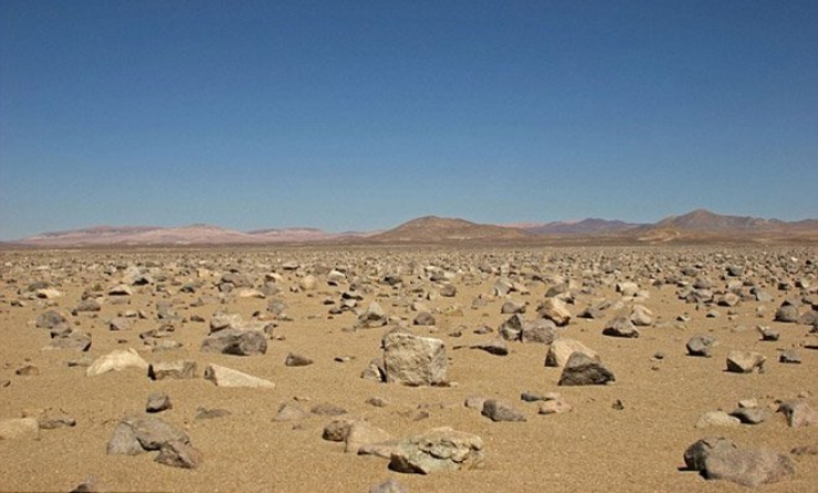 Illustration de l'article : El Nino ne fait pas que des ravages: il redonne vie &agrave; des esp&egrave;ces en voie d'extinction