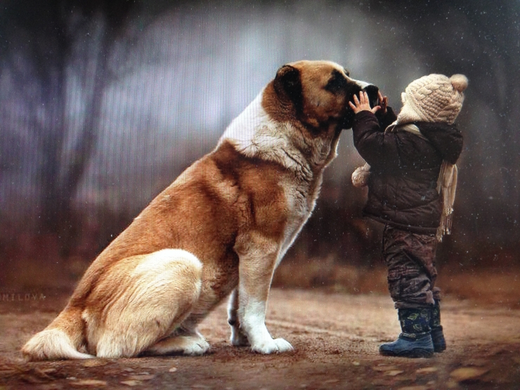 Illustration de l'article : Les enfants qui grandissent avec un chien seraient mieux protégés contre l'asthme