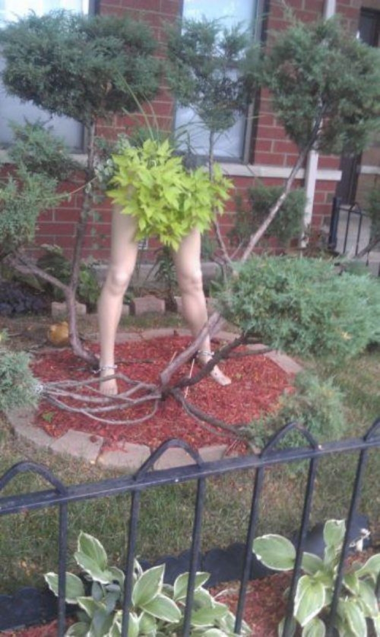 Illustration de l'article : 20 situations bizarres totalement inexplicables