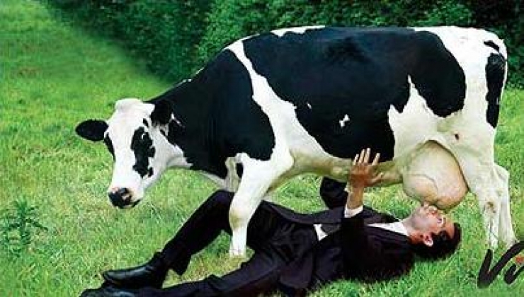 Illustration de l'article : 20 situations bizarres totalement inexplicables