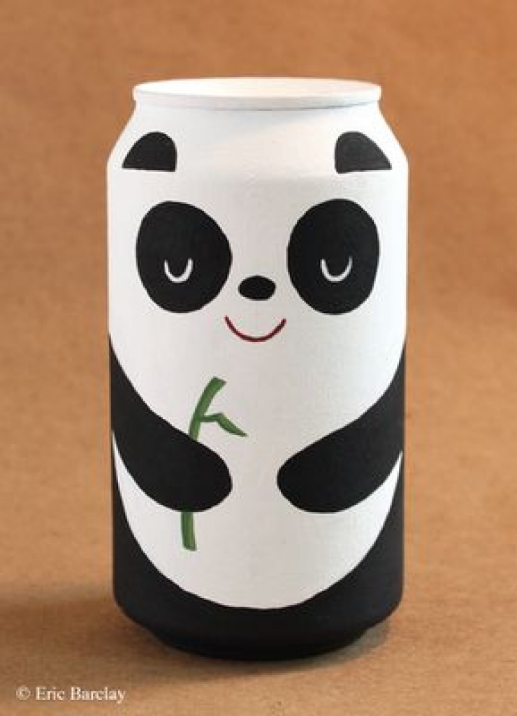 Illustration de l'article : 60 idées et plus pour recycler des boîtes de conserves... Vive la créativité !