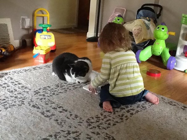 Illustration de l'article : 15 clichés d’enfants qui ont tout à nous apprendre en terme de générosité et de respect !