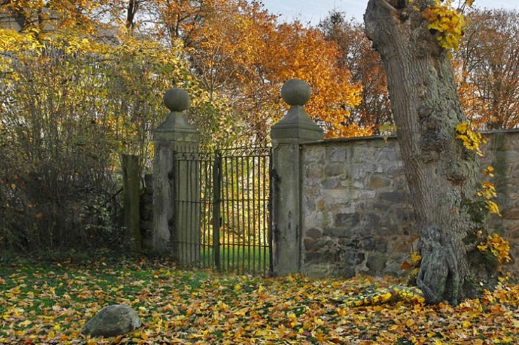 Illustration de l'article : 2 personnes sur 5 n'arrivent pas à voir la femme qui se cache sur cette photo... En faites vous partie ?