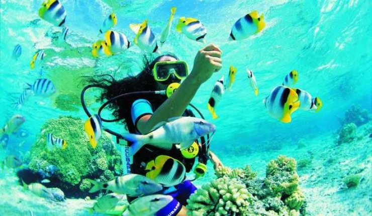 Illustration de l'article : Évadez-vous avec ces 9 clichés qui vous donneront envie de visiter les fonds marins des îles de Tahiti !