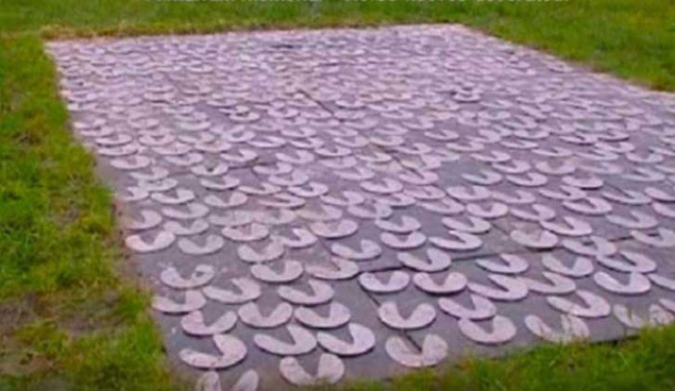 Illustration de l'article : L&rsquo;incroyable histoire du sauvetage de 100 chevaux qui &eacute;taient prisonniers sur un &icirc;lot des Pays-Bas apr&egrave;s une grosse temp&ecirc;te !