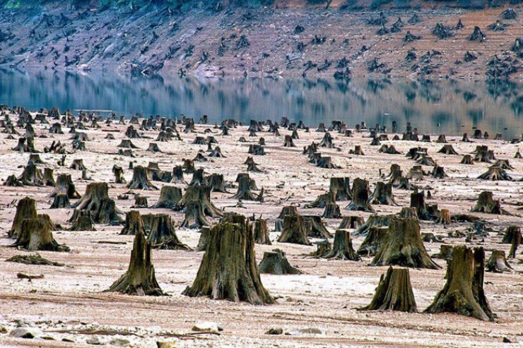 14 Photos Qui Nous Montrent Les Consequences Desastreuses Du Rechauffement Climatique C Est Terrifiant 14 Photos Qui Nous Montrent Les Consequences Desastreuses Du Rechauffement Climatique C Est Terrifiant