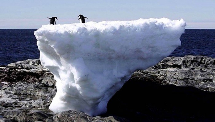 Illustration de l'article : 14 photos qui nous montrent les conséquences désastreuses du réchauffement climatique. C'est terrifiant !