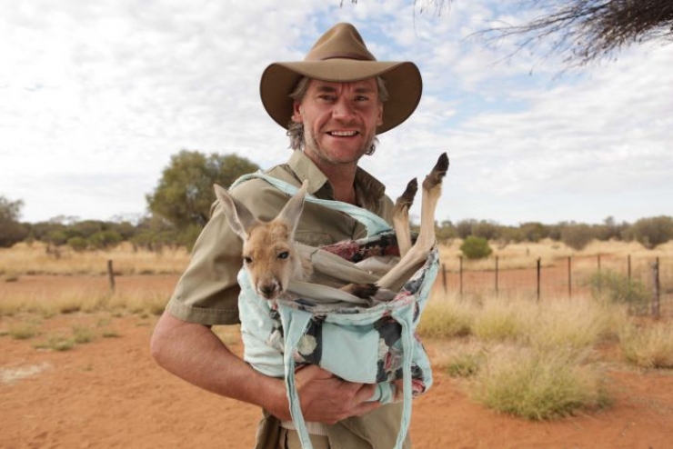 Illustration de l'article : Chris Barns, l’homme à la rescousse d’Indi le bébé Kangourou… Très touchant !