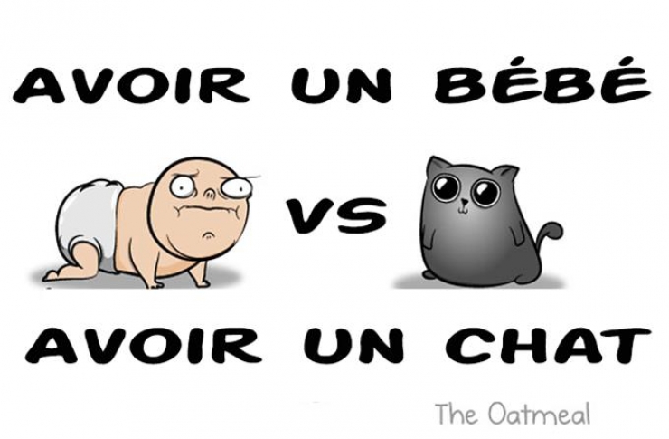 Illustration de l'article : Est-ce mieux d'avoir un chat où un bébé ? Les illustrations humoristiques de Mathew Inman nous donnent la réponse !