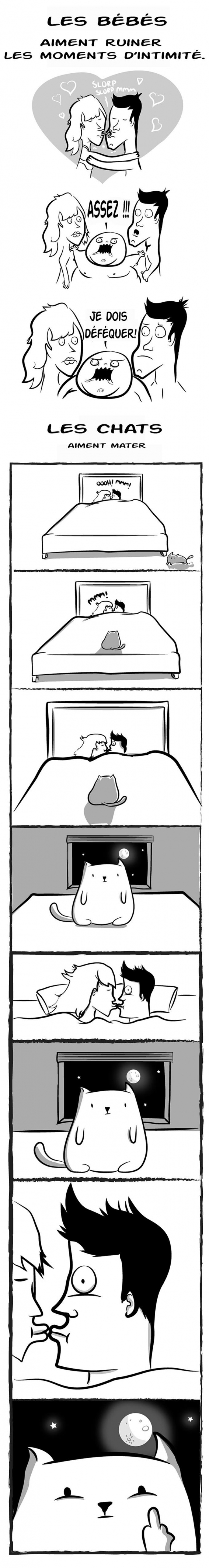 Illustration de l'article : Est-ce mieux d'avoir un chat où un bébé ? Les illustrations humoristiques de Mathew Inman nous donnent la réponse !