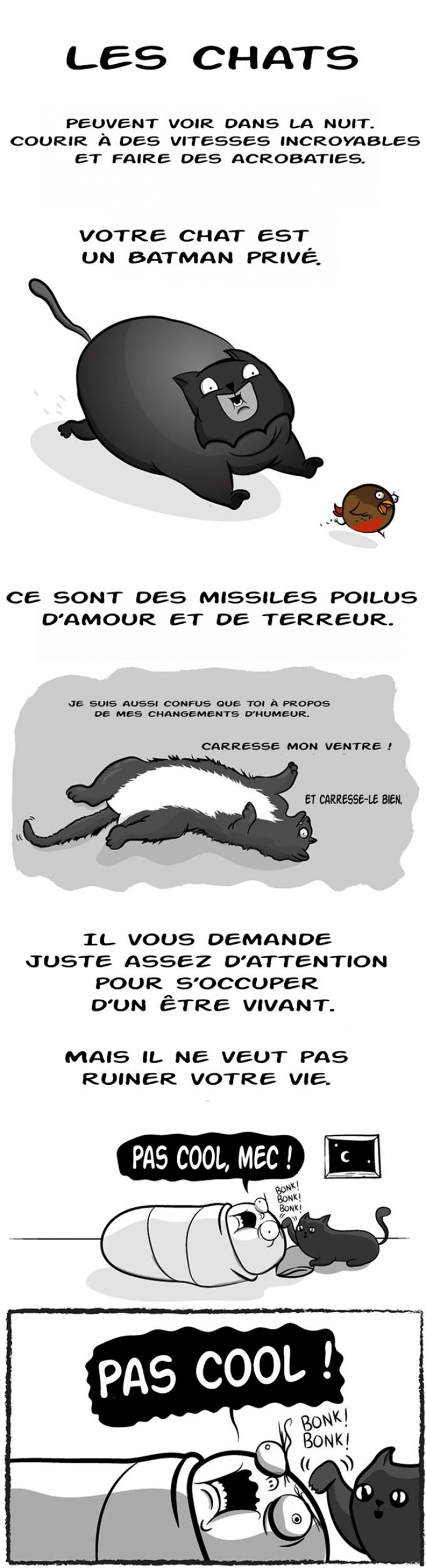 Illustration de l'article : Est-ce mieux d'avoir un chat où un bébé ? Les illustrations humoristiques de Mathew Inman nous donnent la réponse !