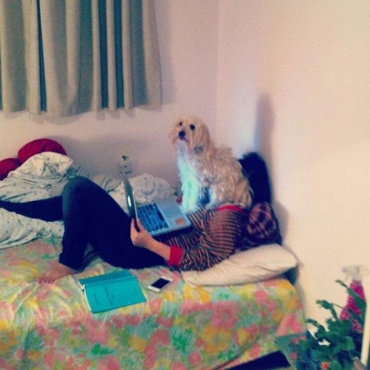 Illustration de l'article : 28 photos hilarantes de chiens qui envahissent leurs maîtres… Vous allez bien rigoler !