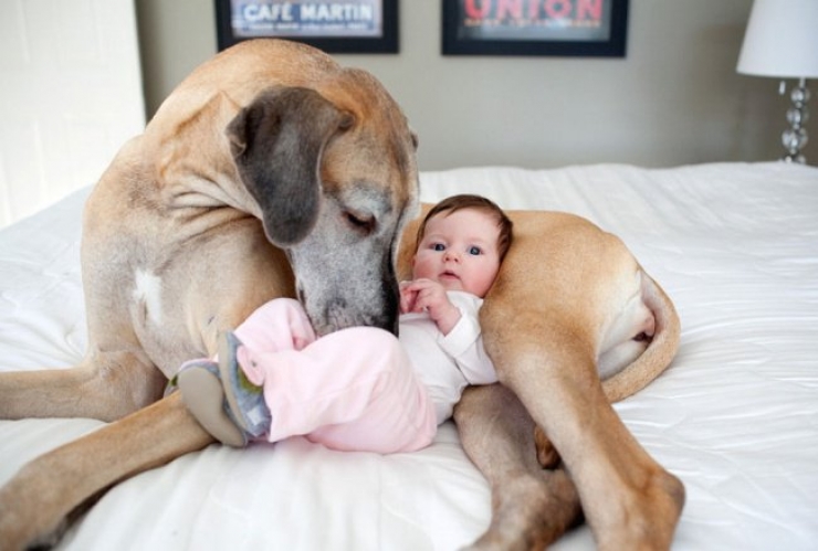 Illustration de l'article : C'est cool d'être parent, la preuve en 22 photos aussi réalistes qu'hilarantes... La 4 est excellente !