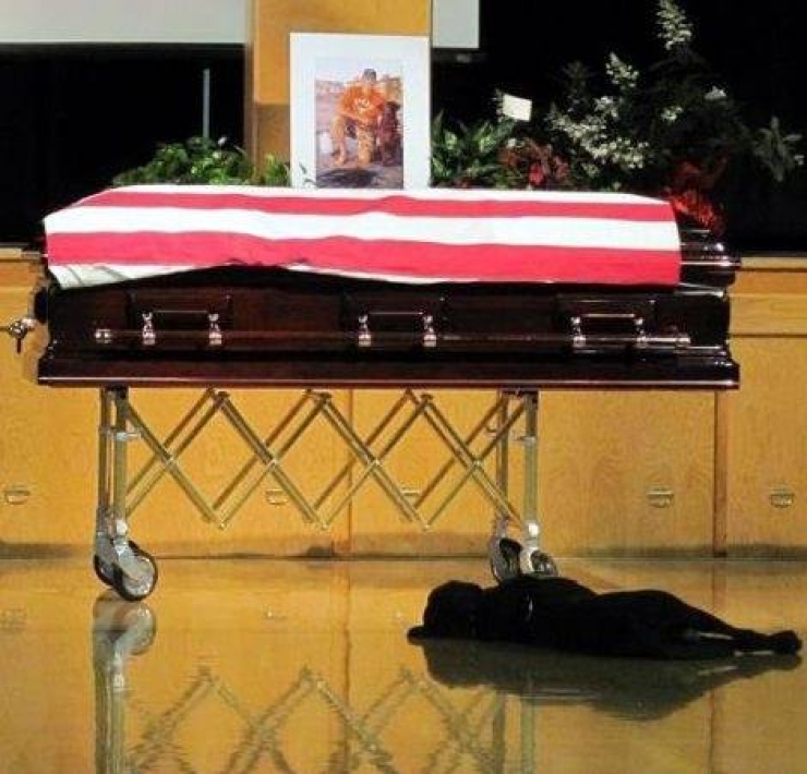 Illustration de l'article : On y pense moins mais hommage à tous ces chiens qui se battent pour défendre leurs pays… 32 Photos plus touchantes les unes que les autres !