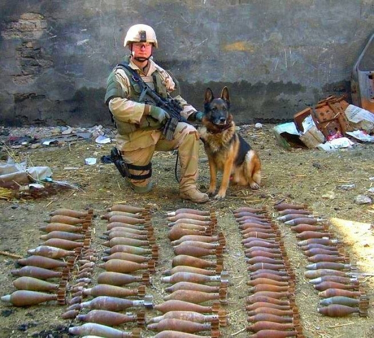 Illustration de l'article : On y pense moins mais hommage à tous ces chiens qui se battent pour défendre leurs pays… 32 Photos plus touchantes les unes que les autres !