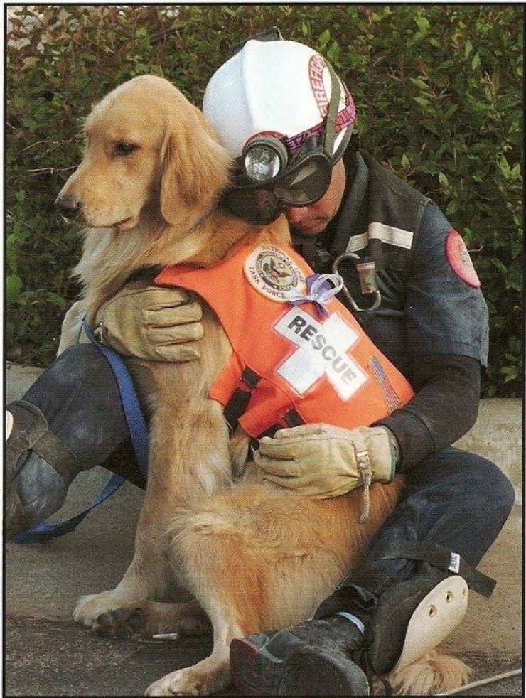 Illustration de l'article : On y pense moins mais hommage à tous ces chiens qui se battent pour défendre leurs pays… 32 Photos plus touchantes les unes que les autres !