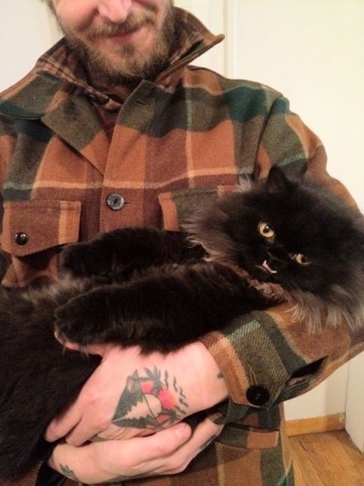 Illustration de l'article : Estimant qu’elle est monstrueuse, ils se débarrassent de leur chatte. Les nouveaux propriétaires décident d’en faire une star !