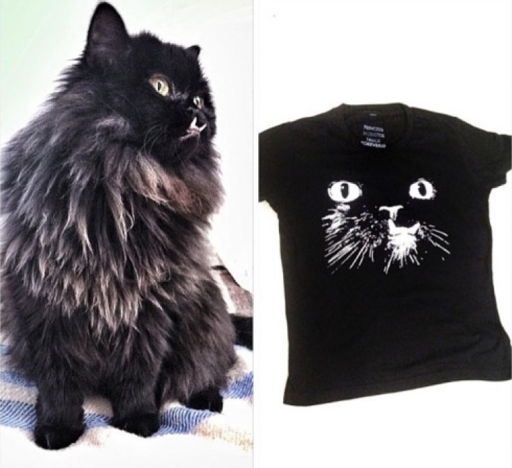 Illustration de l'article : Estimant qu’elle est monstrueuse, ils se débarrassent de leur chatte. Les nouveaux propriétaires décident d’en faire une star !