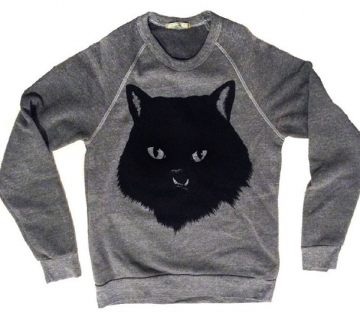 Illustration de l'article : Estimant qu’elle est monstrueuse, ils se débarrassent de leur chatte. Les nouveaux propriétaires décident d’en faire une star !