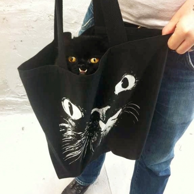 Illustration de l'article : Estimant qu&rsquo;elle est monstrueuse, ils se d&eacute;barrassent de leur chatte. Les nouveaux propri&eacute;taires d&eacute;cident d&rsquo;en faire une star !