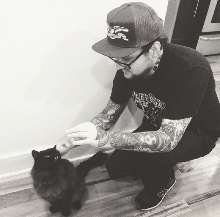 Illustration de l'article : Estimant qu’elle est monstrueuse, ils se débarrassent de leur chatte. Les nouveaux propriétaires décident d’en faire une star !