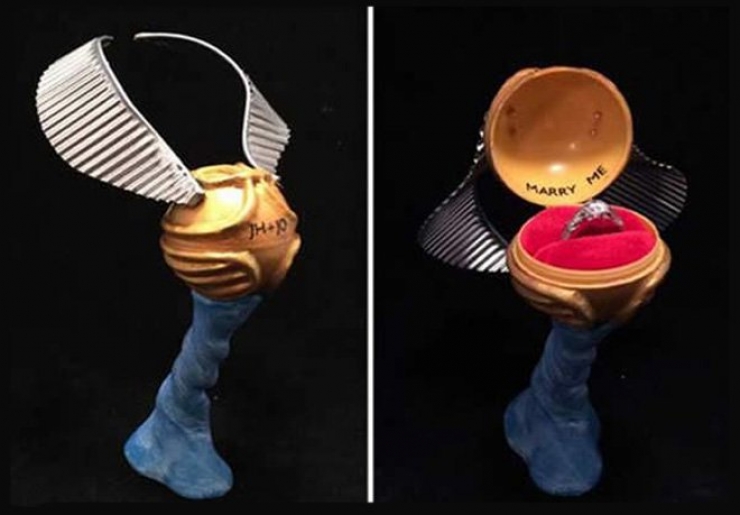 Illustration de l'article : 21 idées de demandes en mariage qui plairont à tous les geek... La 5 est vraiment très spéciale...