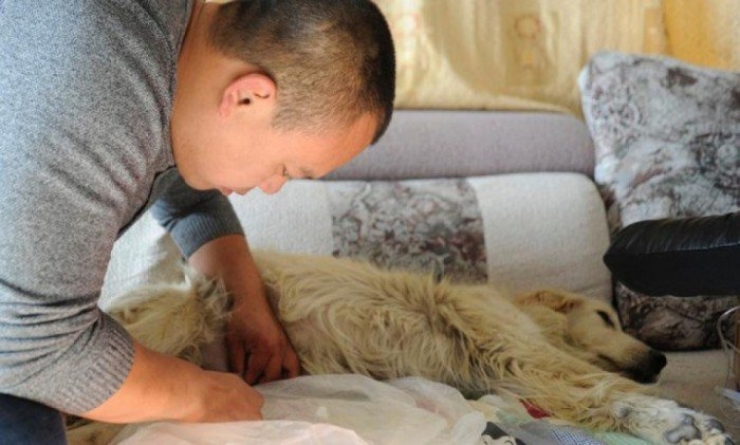 Illustration de l'article : Ce millionnaire Chinois a dépensé toute sa fortune pour une cause magnifique… Jusqu’au dernier centime !