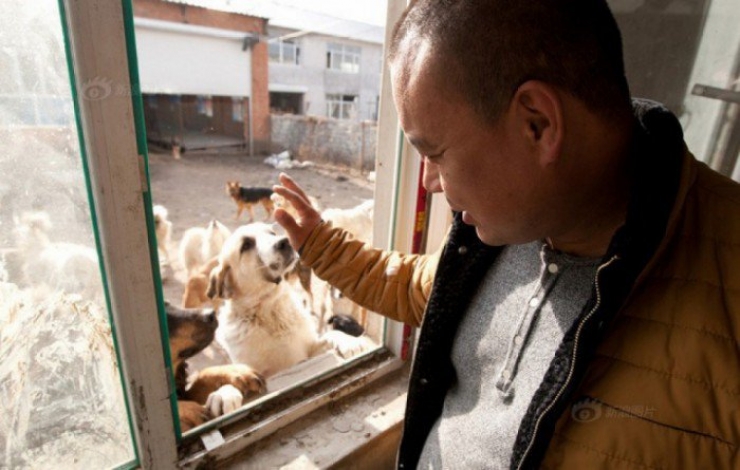 Illustration de l'article : Ce millionnaire Chinois a dépensé toute sa fortune pour une cause magnifique… Jusqu’au dernier centime !