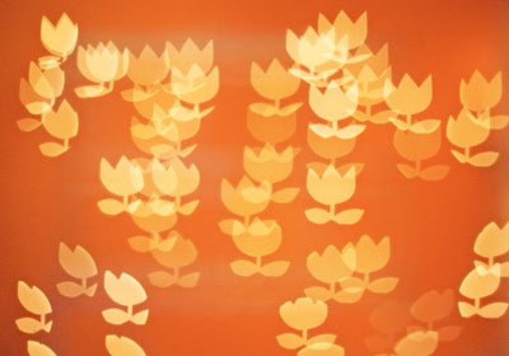 Illustration de l'article : Voici 10 techniques pas ch&egrave;res pour devenir un pro de la photographie&hellip;La 3 est g&eacute;niale&hellip;