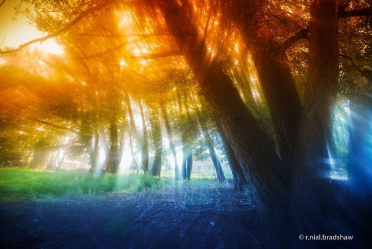 Illustration de l'article : Voici 10 techniques pas ch&egrave;res pour devenir un pro de la photographie&hellip;La 3 est g&eacute;niale&hellip;