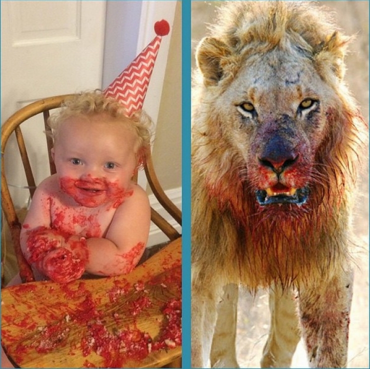 Illustration de l'article : 15 photos qui prouvent qu'il ne faut jamais laisser un enfant seul
