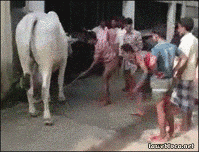 Illustration de l'article : 16 photos qui prouvent que tout se paye un jour ou l'autre !