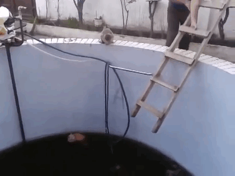 Illustration de l'article : 16 photos qui prouvent que tout se paye un jour ou l'autre !