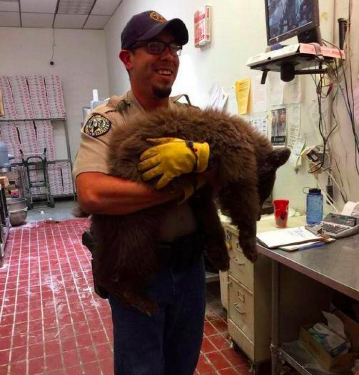 Illustration de l'article : Les employés d'une pizzeria sont tombés sur un client très spécial