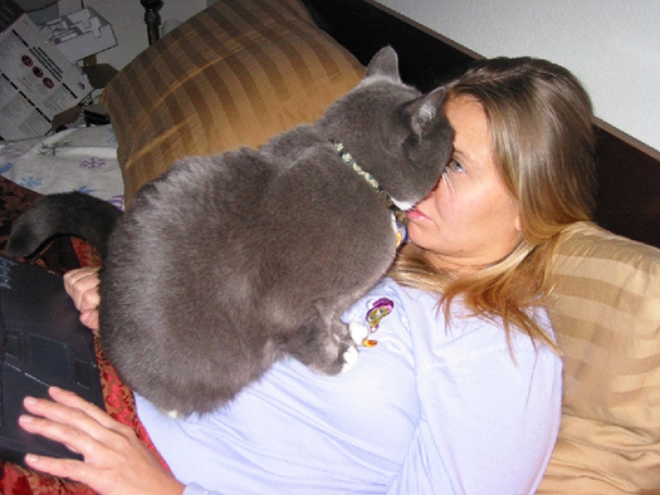 Illustration de l'article : Ces 40 chats n'ont pas le moindre respect pour votre intimité... 