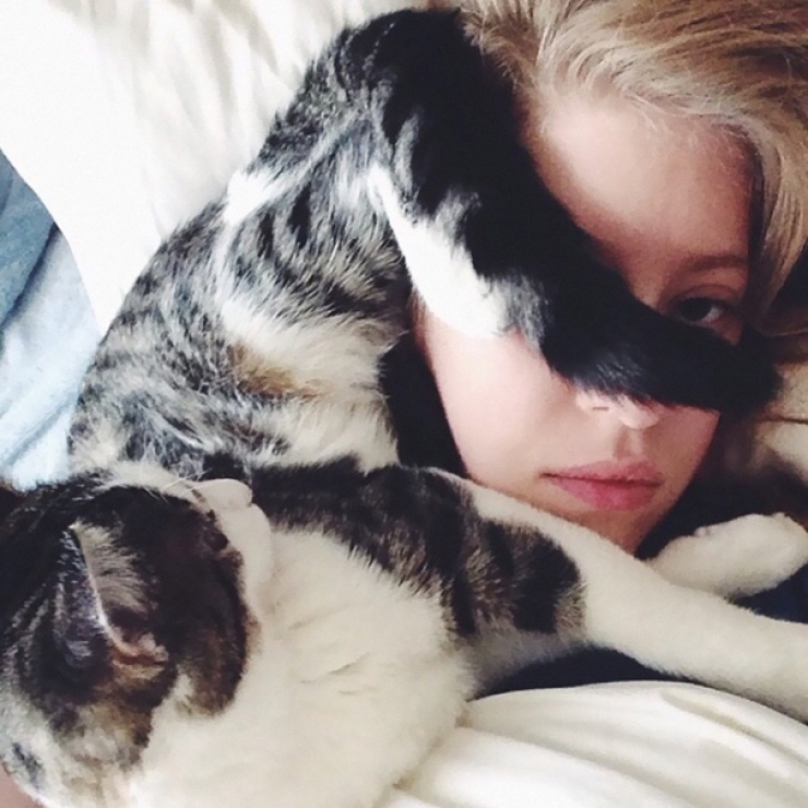 Illustration de l'article : Ces 40 chats n'ont pas le moindre respect pour votre intimité... 