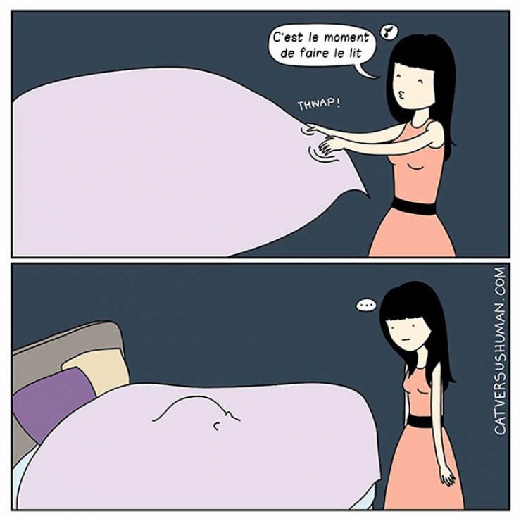 Illustration de l'article : Ce quelques bandes dessinées très drôles résument parfaitement ce qu'est le quotidien quand on a un chat !