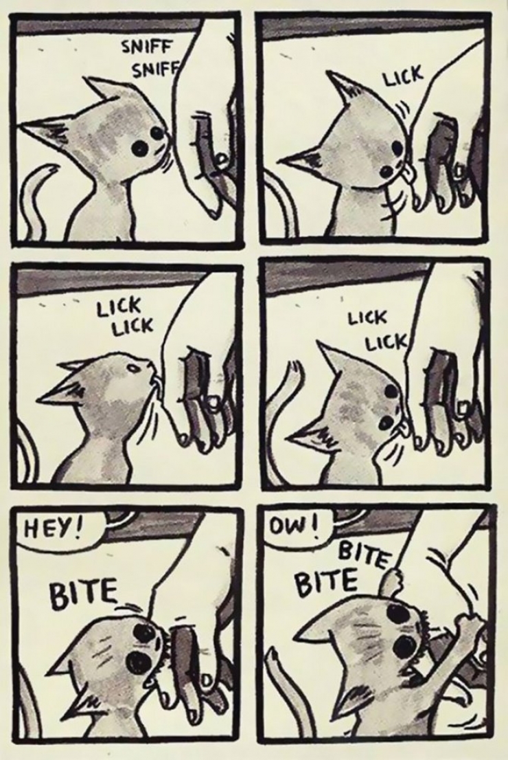 Illustration de l'article : Ce quelques bandes dessinées très drôles résument parfaitement ce qu'est le quotidien quand on a un chat !